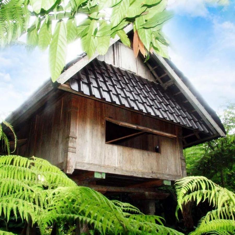 Villa Bali Mountain Retreat Selemadeg  Exterior foto