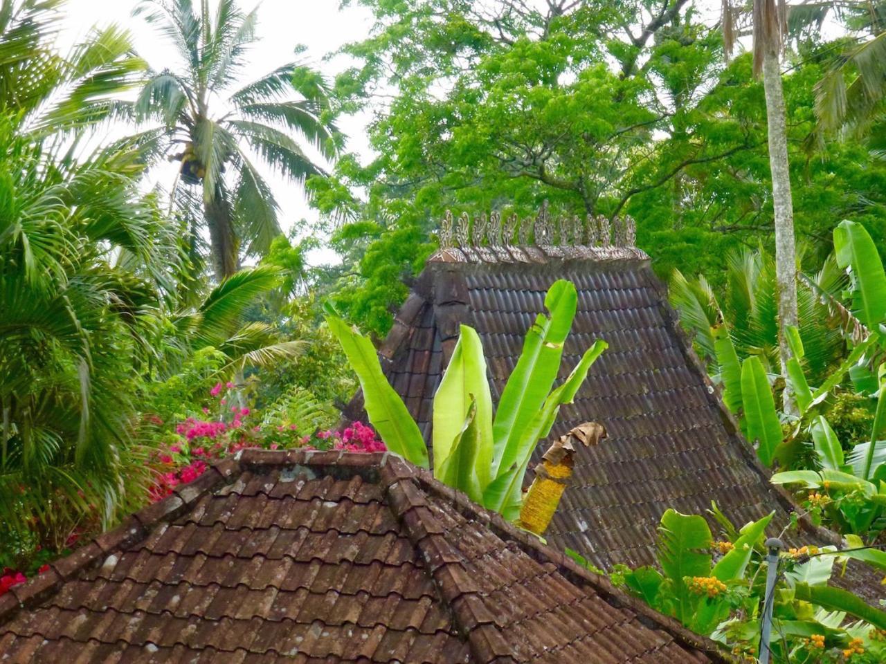 Villa Bali Mountain Retreat Selemadeg  Exterior foto